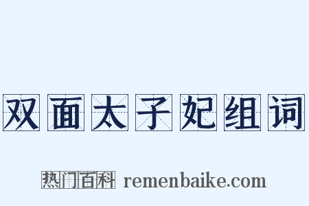 双面太子妃组词是什么意思的图片